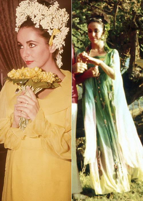 प्रसिद्ध व्यक्ति Wedding Dresses - Elizabeth Taylor