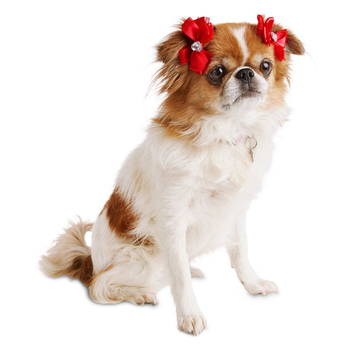 लाल Satin Organza Dog Hair Bows