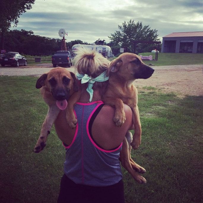 मिरांडा Lambert and two rescue pups 