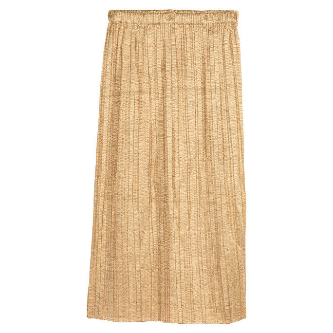 ए Pleated Skirt that Shimmers 