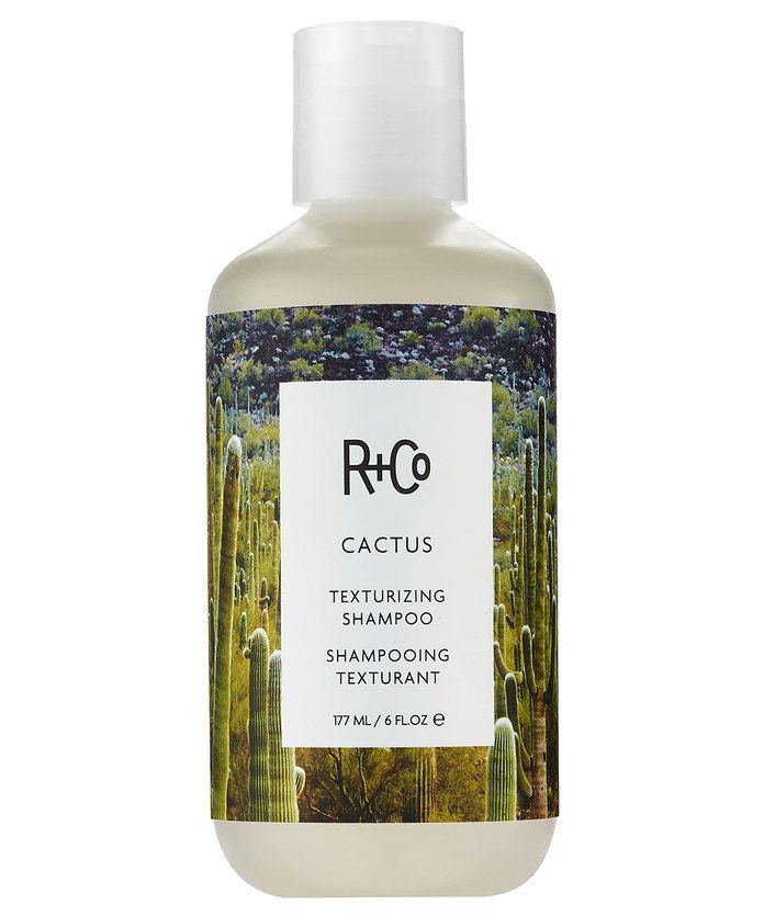 आर + Co Cactus Texturizing Shampoo 