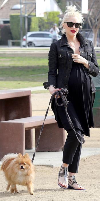 वेन Stefani in Denim Jacket