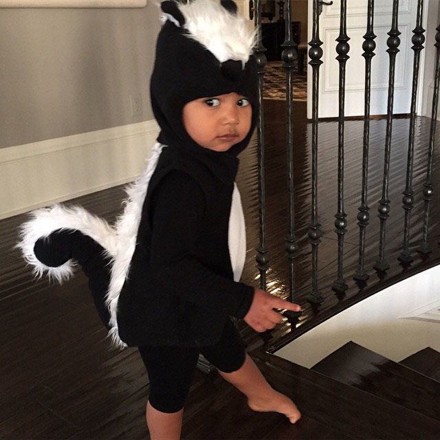 ทางทิศเหนือ Wears a Skunk Costume for Halloween