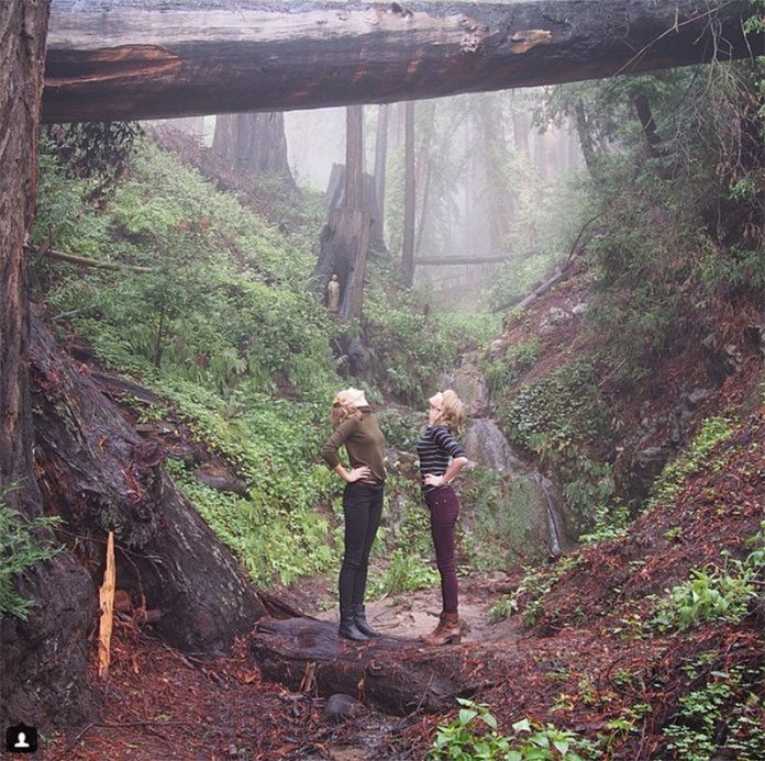 कब they explored the forest together (and who is taller) on their Big Sur trip. 