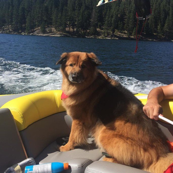 कब Chunk wasn’t so sure how he felt about waterskiing. 