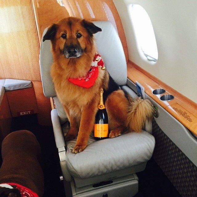 कब Chunk proved that he’s a seasoned traveler and gave us new in-flight goals. 