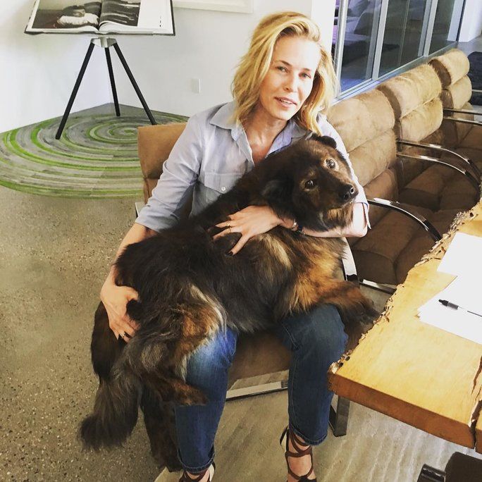 เมื่อ Tammy didn’t care that she’s a little too big to be a lap dog. 