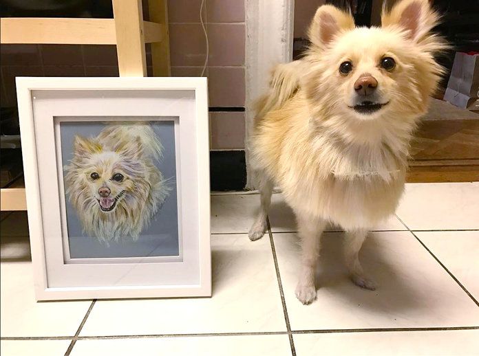  Custom Pet Portrait 