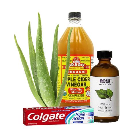 หางจระเข้ Vera, Toothpaste, Apple Cider Vinegar, Tea Tree Oil