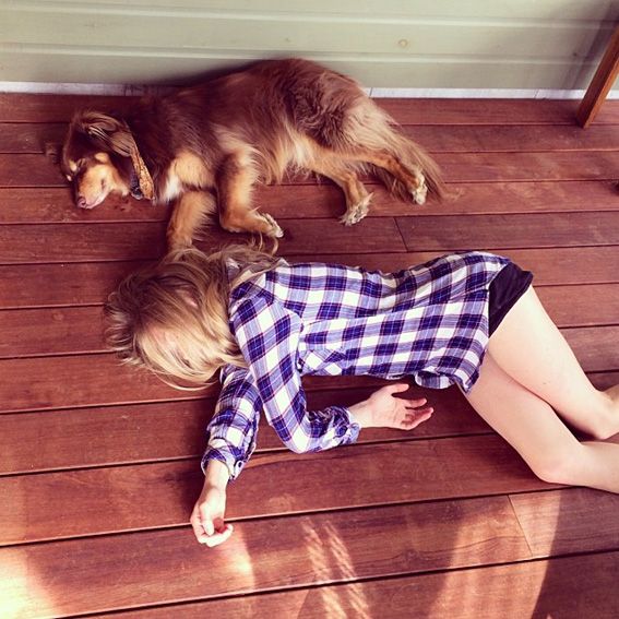 instagram amanda seyfried and dog Finn