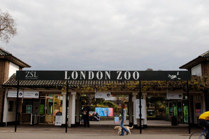  London Zoo