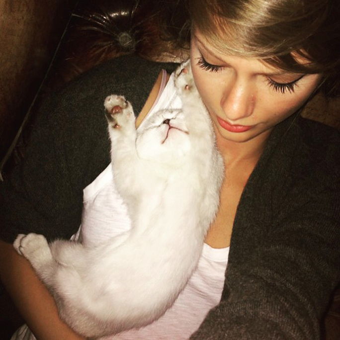 टेलर Swift and cat Olivia Benson 