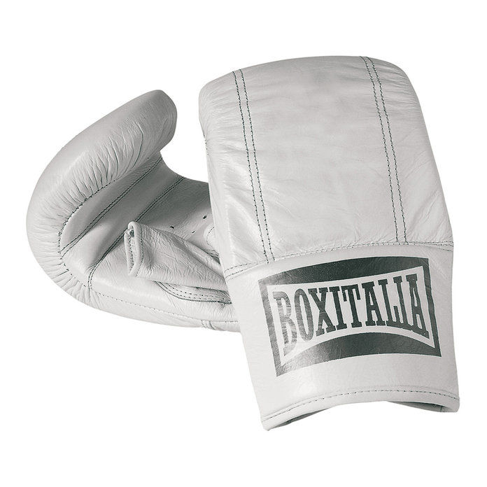 Everlast Pro Style Elite 12oz Training Boxing Gloves