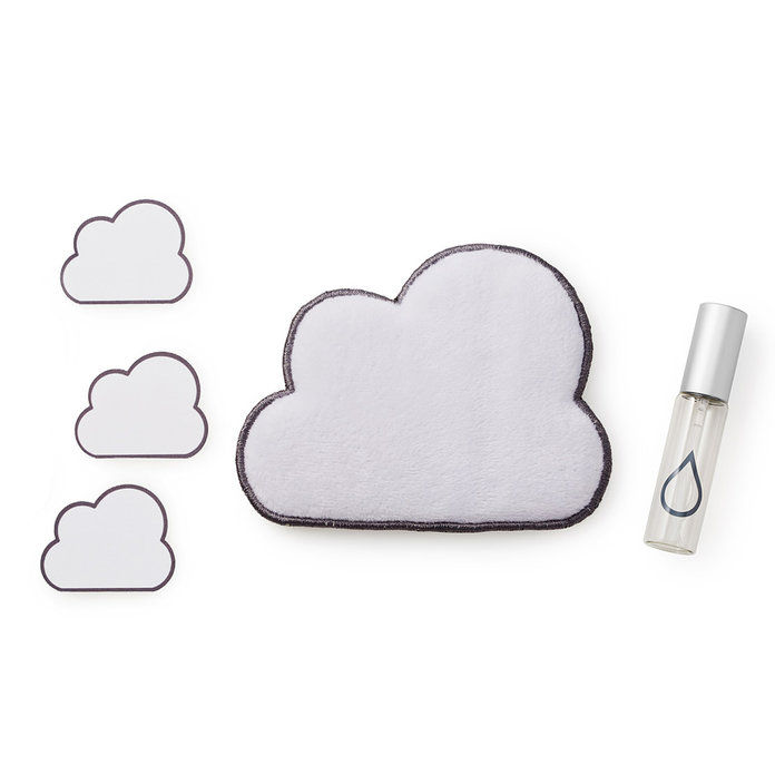 असामान्य Goods Dust Cloud Screen Cleaning Set 