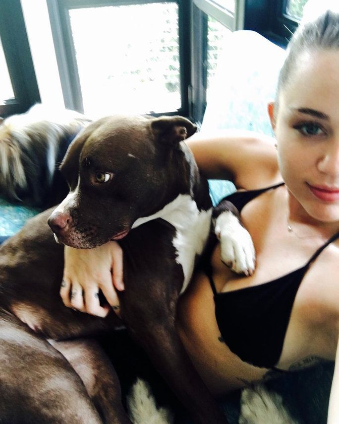 MILEY AND TANI (LIAM HEMSWORTH'S PUP) 