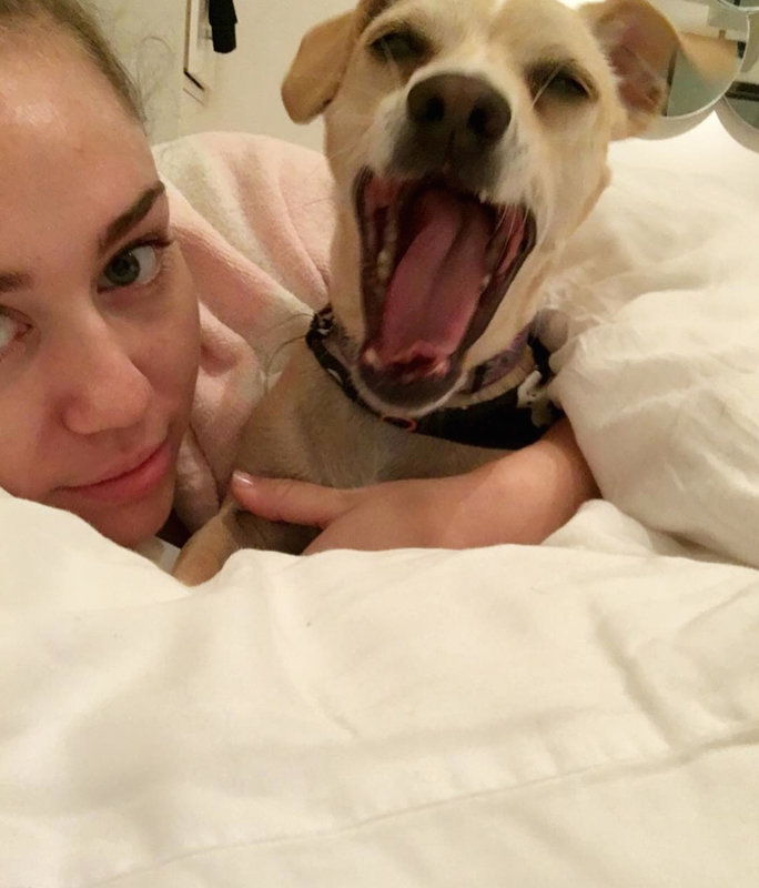 MILEY AND BEAN 