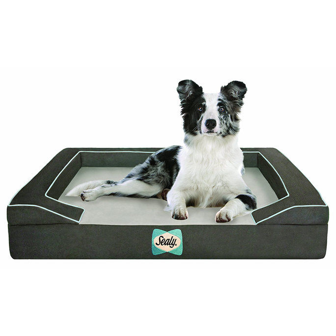 Sealy Dog Bed