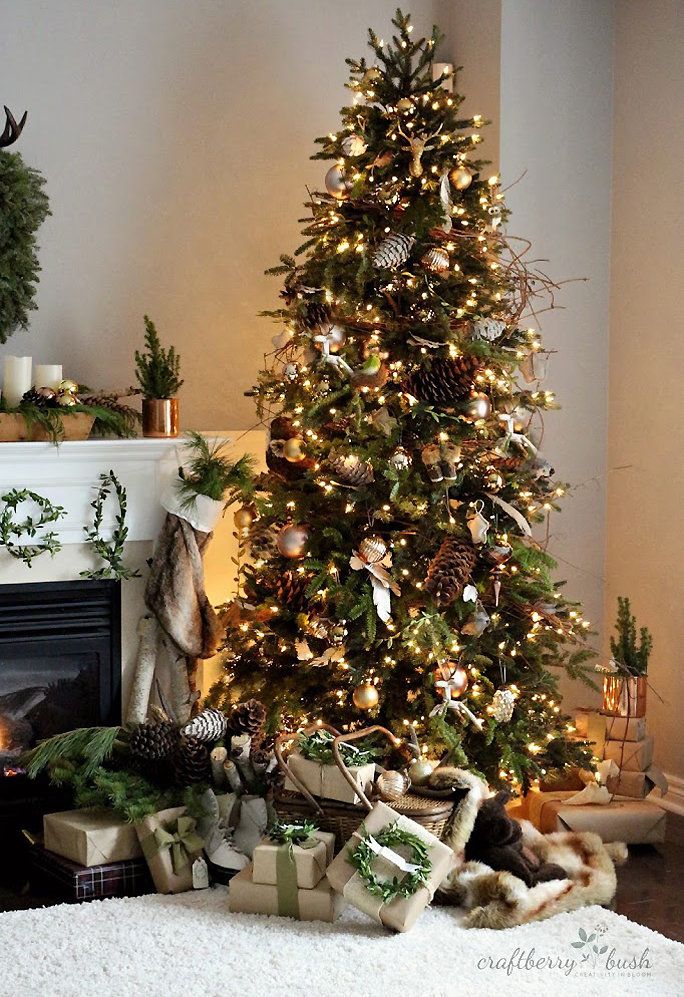 Pinterest Christmas Trees - Lead 1