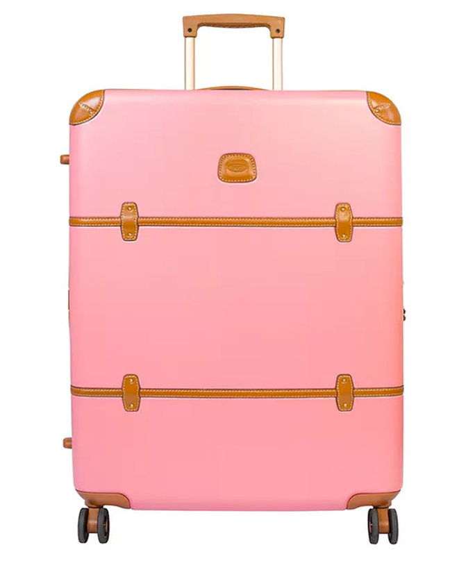 ब्रिक's luggage