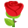 :गुलाब का फूल: